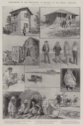 Experiments in the Prevention of Malaria in the Roman Campaign